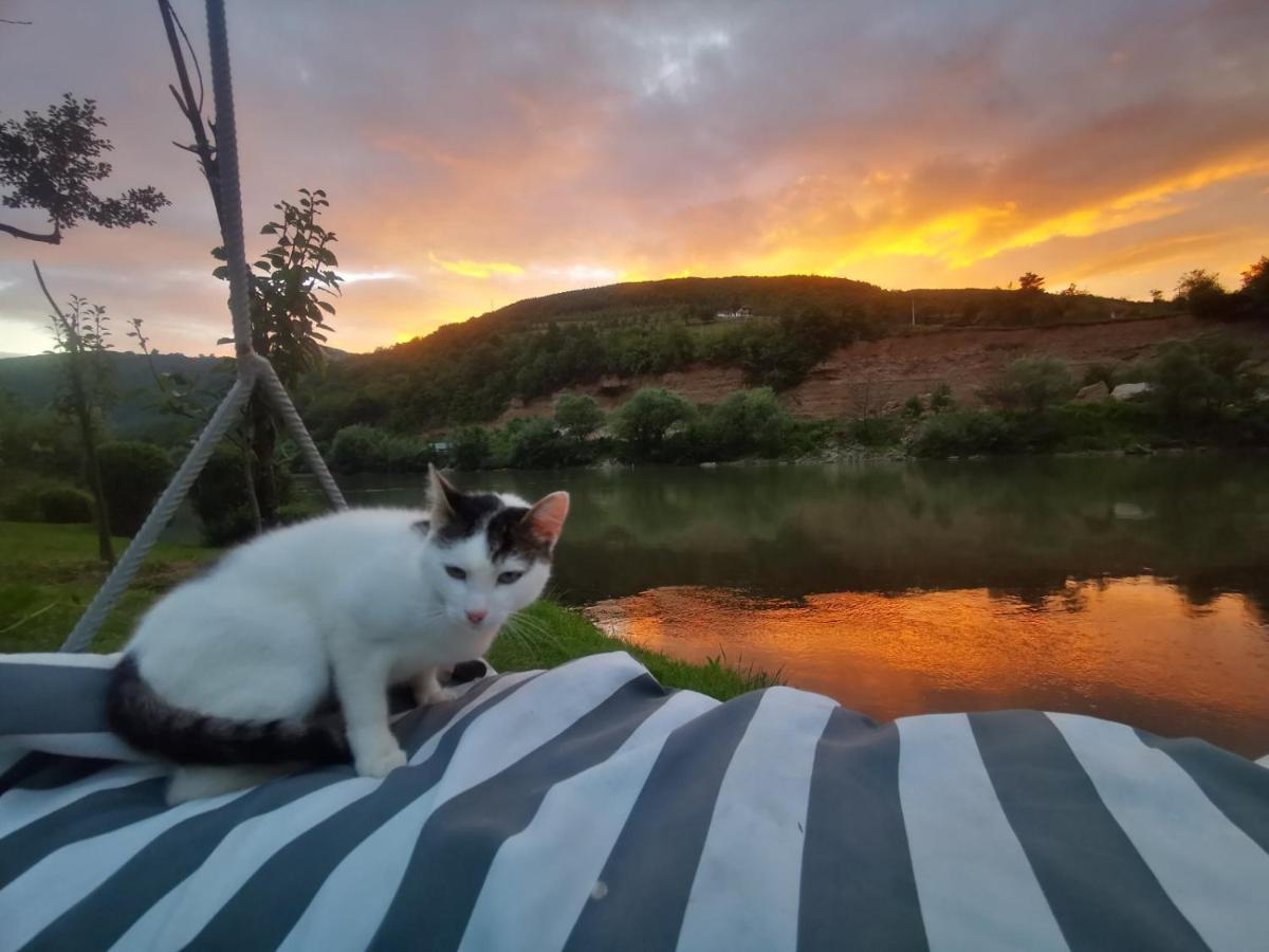 Bed and Breakfast Prenociste Na Drini Foca Zewnętrze zdjęcie